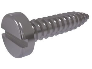 DIN 7971 ISO 1481 Blechschrauben mit Schlitz und Flachkopf