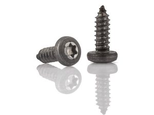 DIN 7981 TORX SB SAC VİDASI